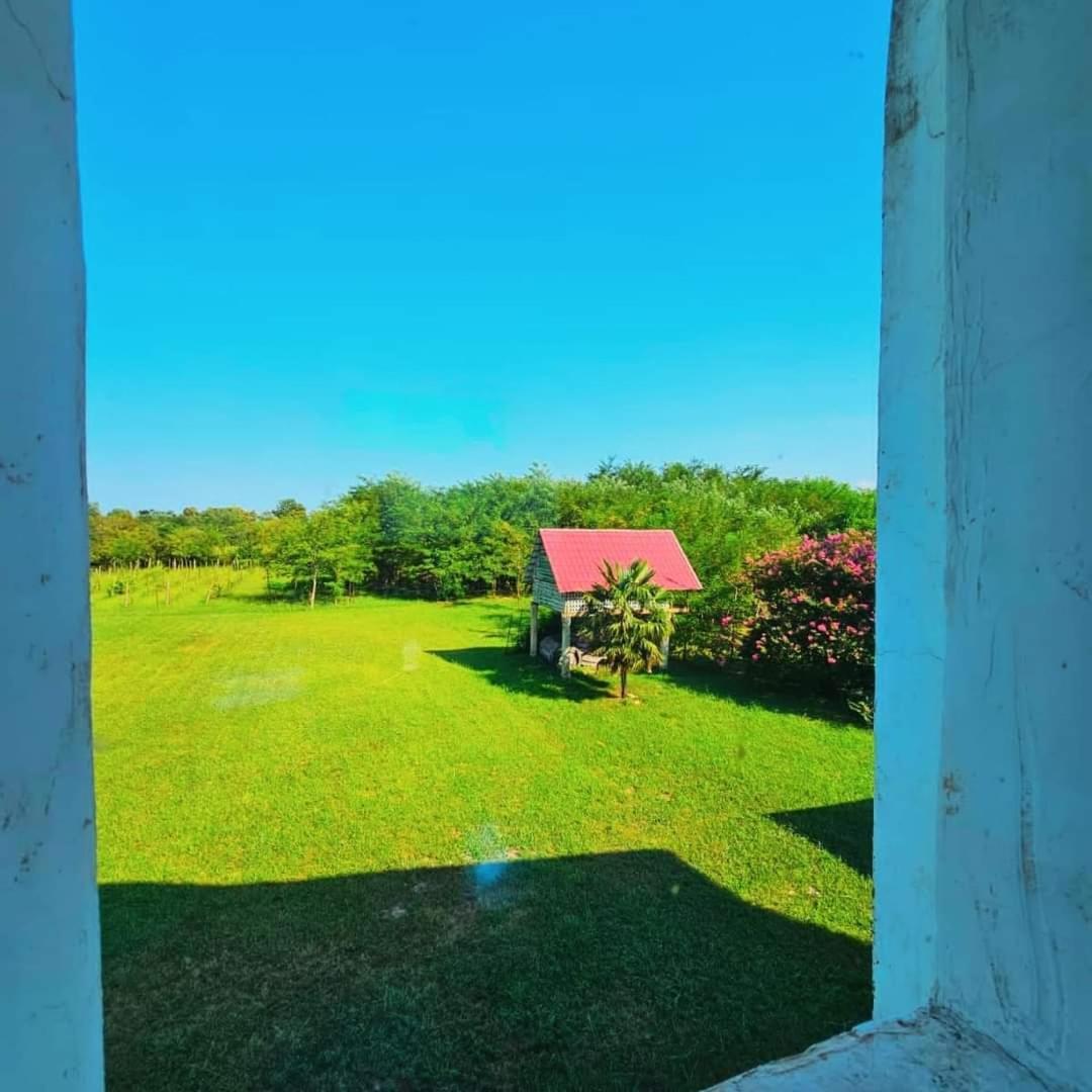 Blue Guest House Samtredia Exterior foto