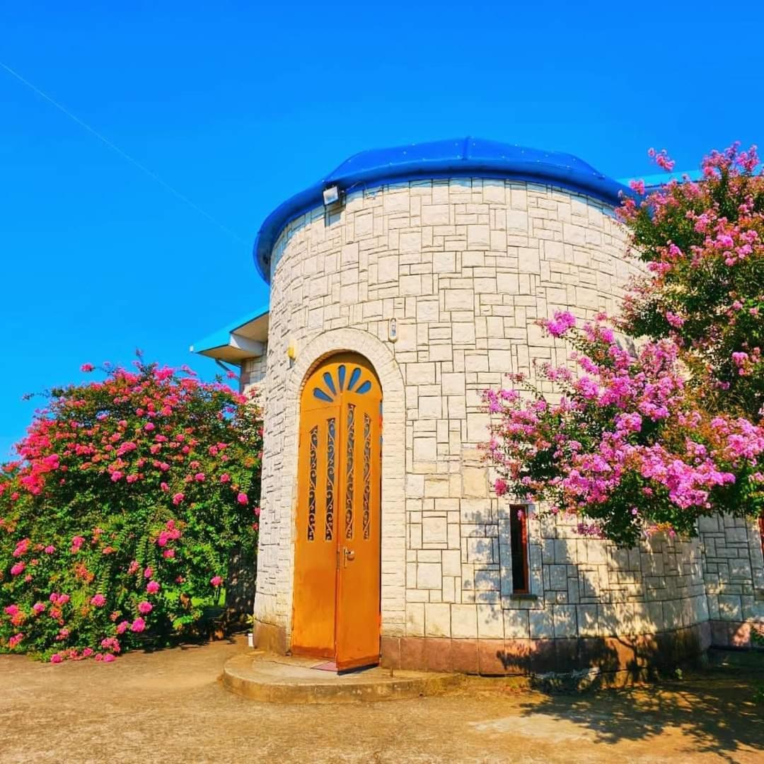 Blue Guest House Samtredia Exterior foto