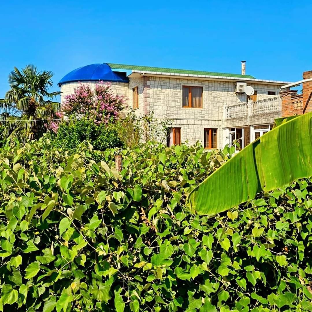 Blue Guest House Samtredia Exterior foto